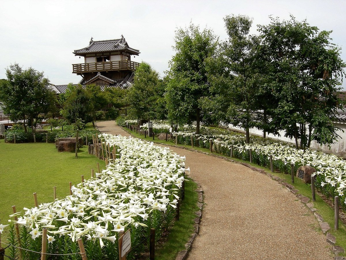 🏯 이케다 성터 공원(이케다시로아토코엔) 이미지 5